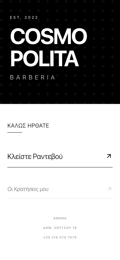 Mobile — landing page